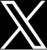 x icon