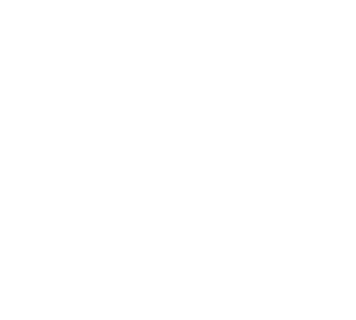 share-icon